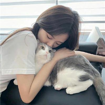 啼笑泪痕 封面