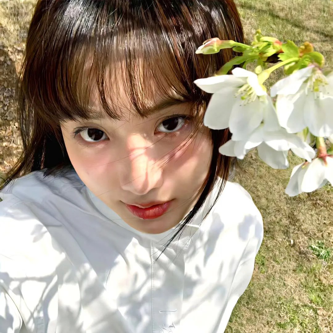 白桃花 封面